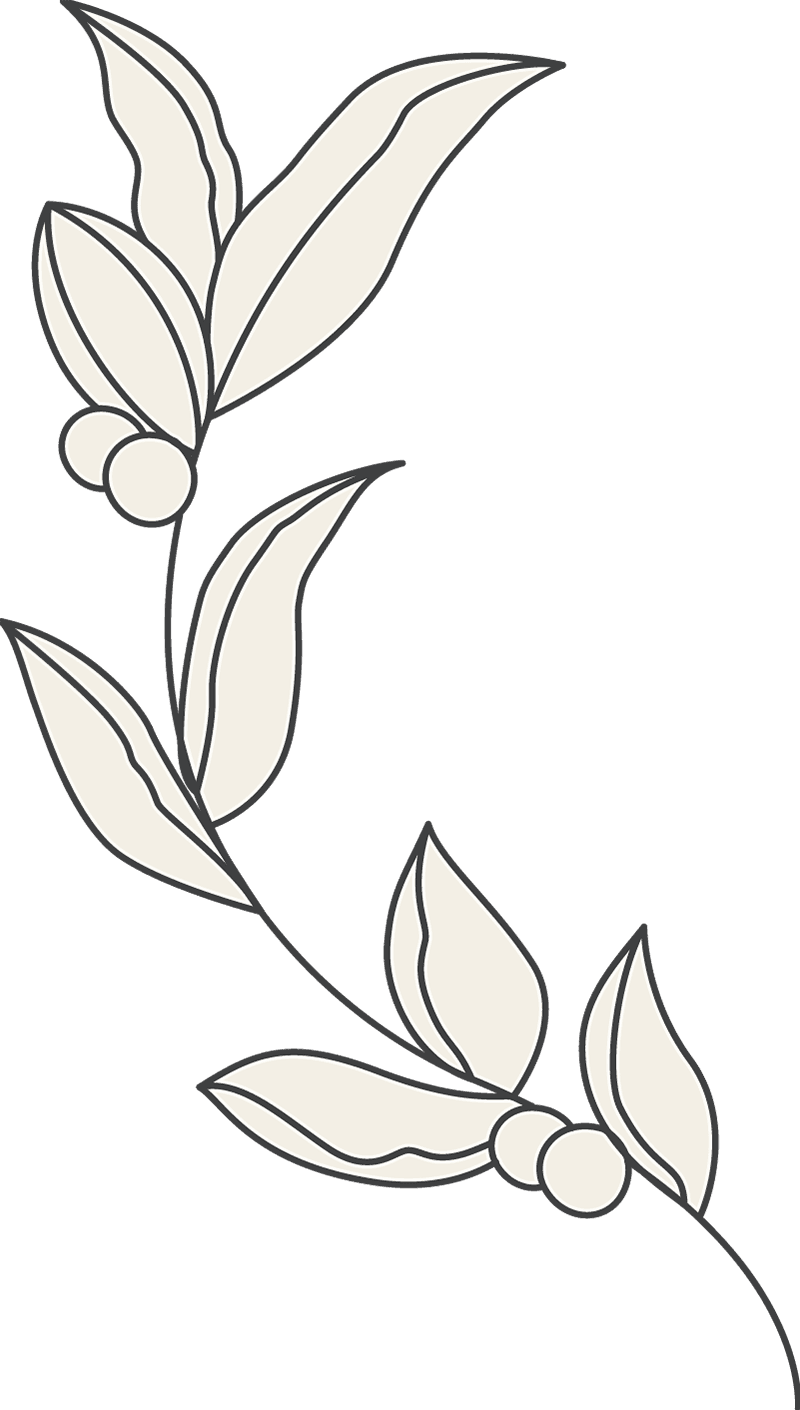 branch